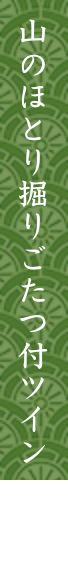 山のほとり掘りごたつ付ツイン